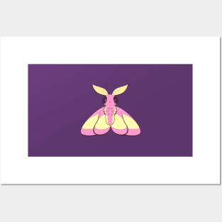 Cute Rosy Maple Moth Posters and Art